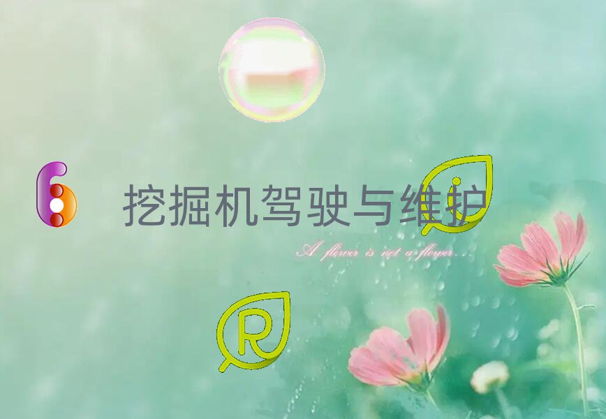 dƽW(xu)칤ھC(j)Ӗ(xn)