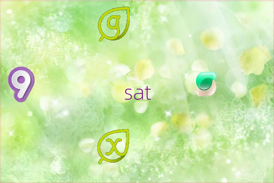 ȥČW(xu)sat